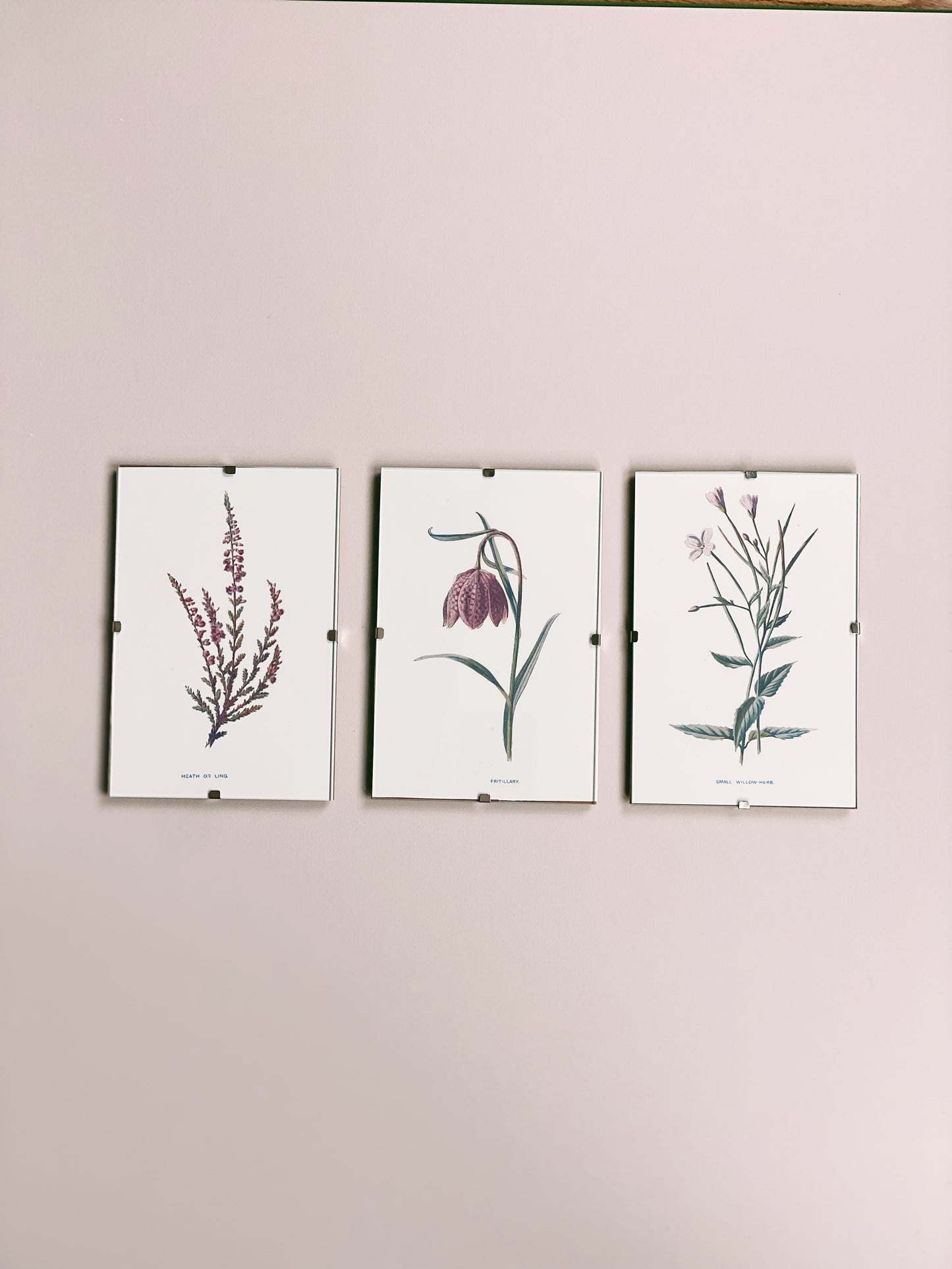 Victorian Wildflowers Set (Set of 3)