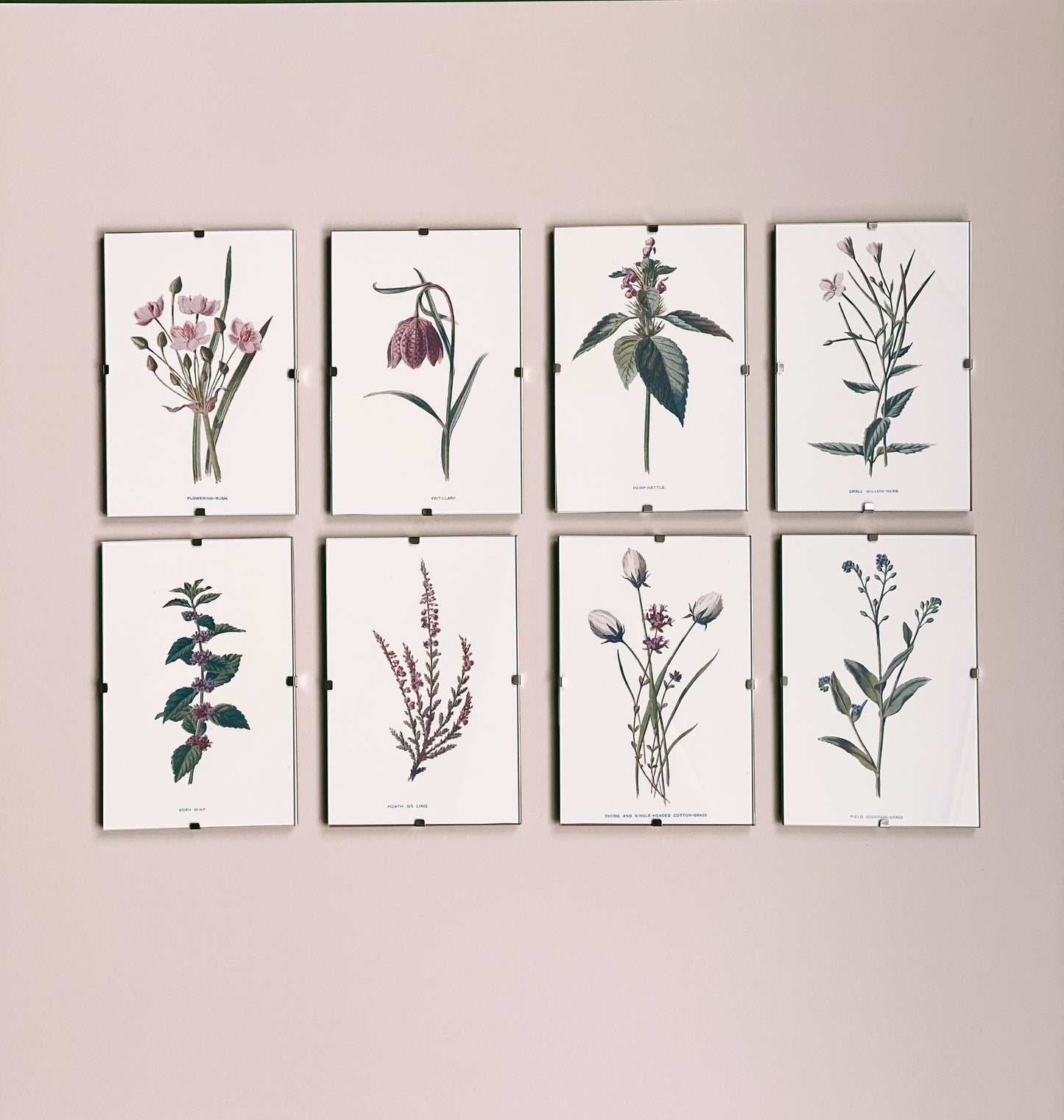 Victorian Wildflowers Set (Set of 8)