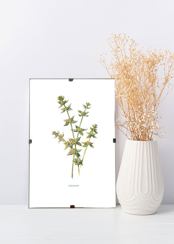 Crosswort