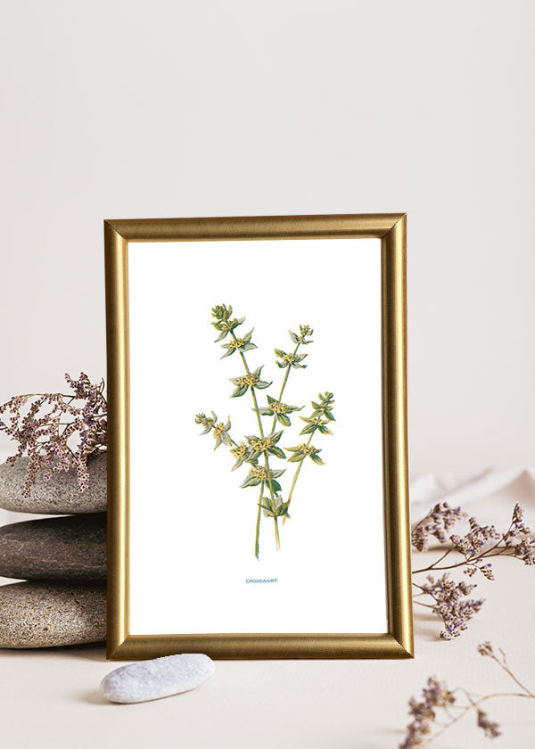 Crosswort