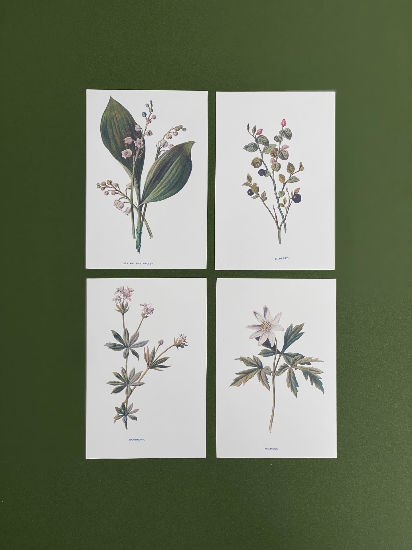 Victorian Wildflowers Set (Set of 4)