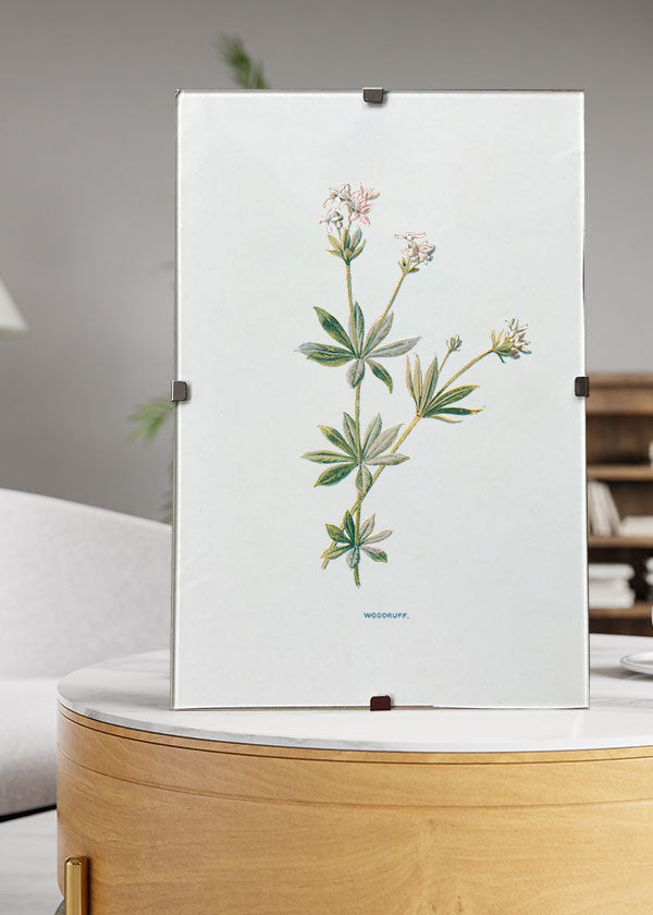 Woodruff
