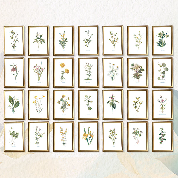 Victorian Wildflowers Set (Set of 28)