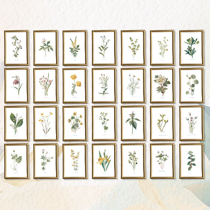Victorian Wildflowers Set (Set of 28)