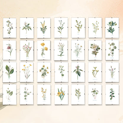Victorian Wildflowers Set (Set of 28)