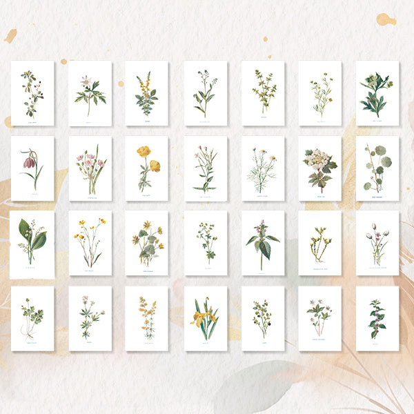 Victorian Wildflowers Set (Set of 28)