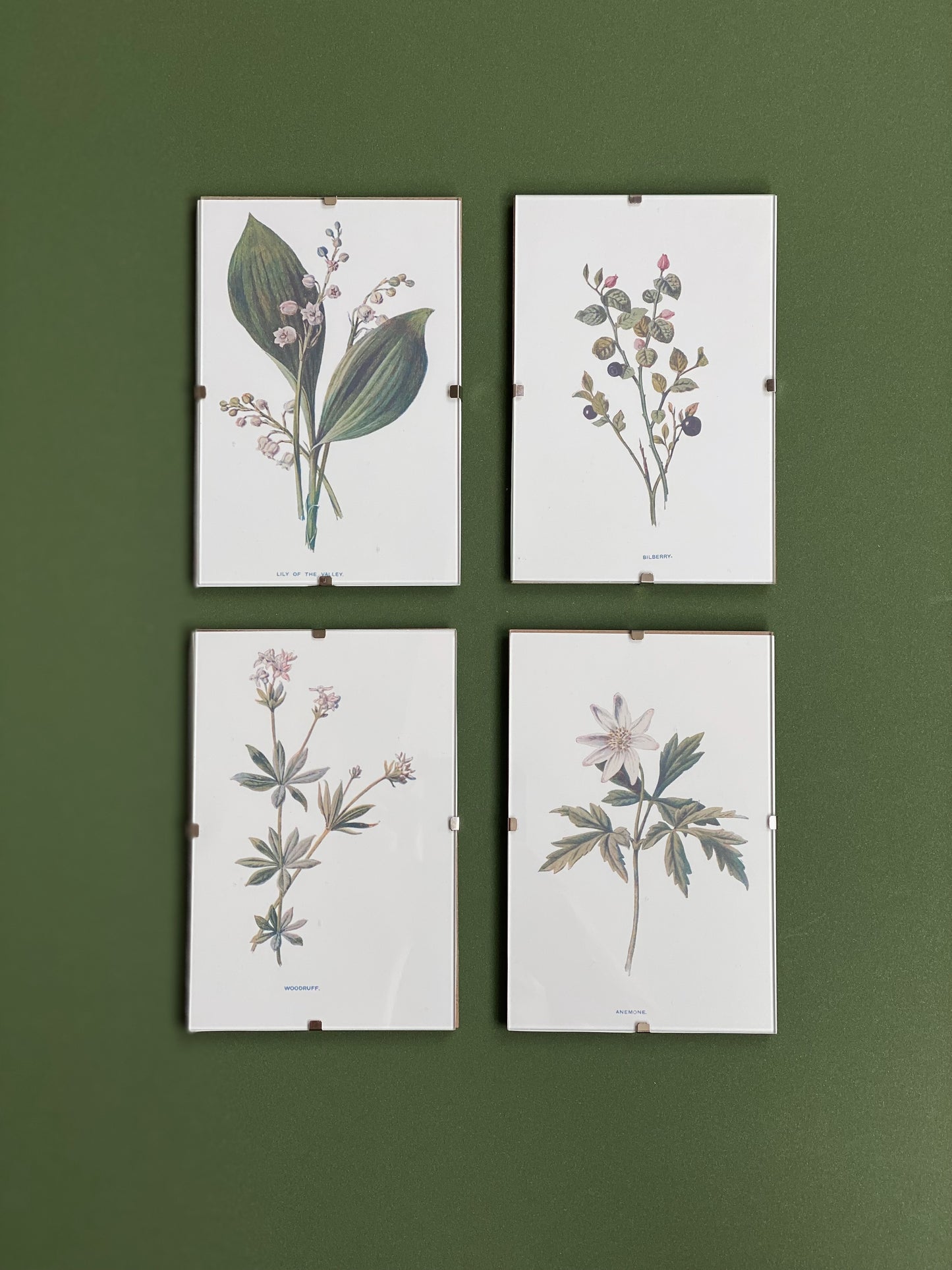 Victorian Wildflowers Set (Set of 4)