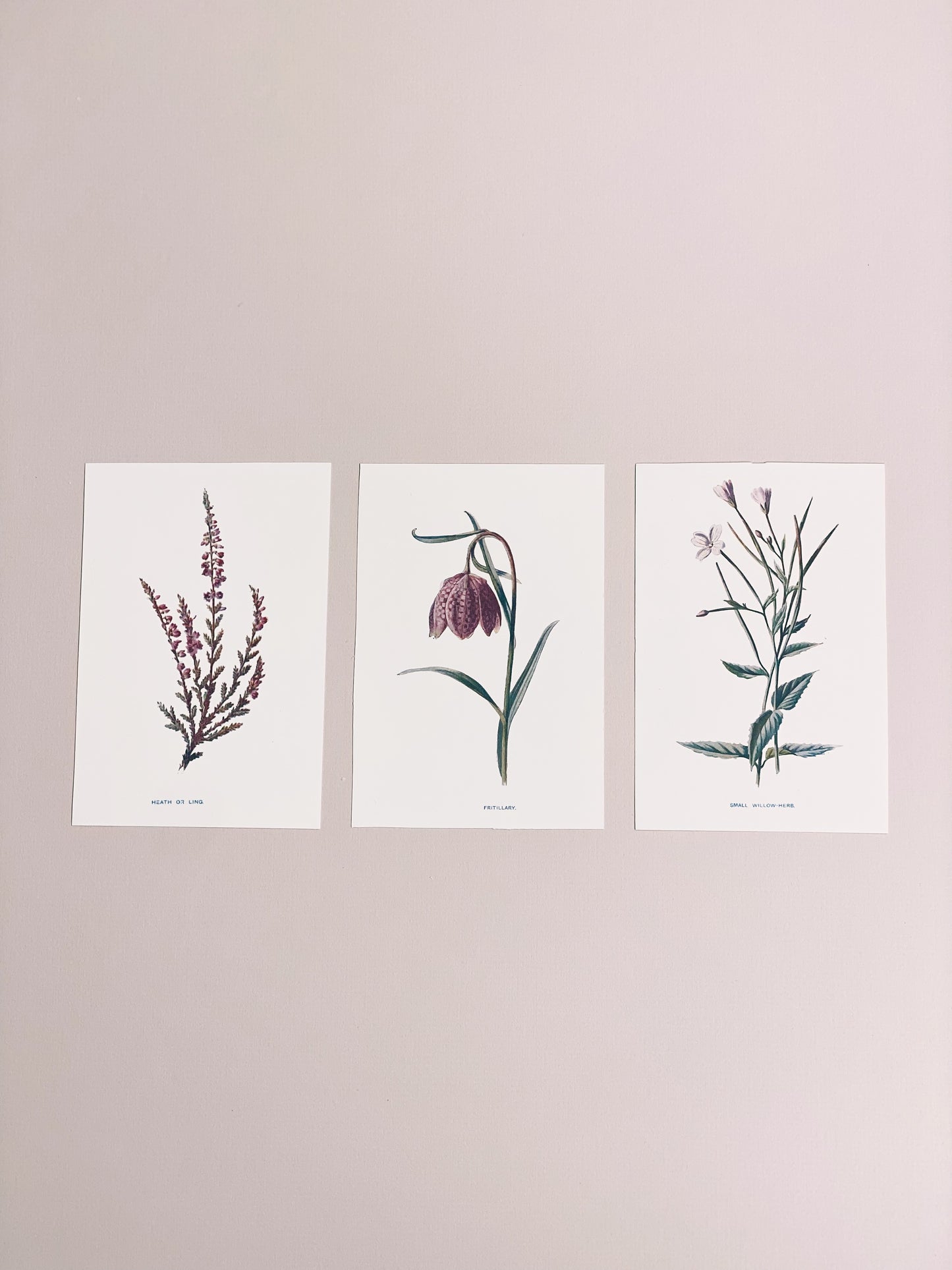 Victorian Wildflowers Set (Set of 3)