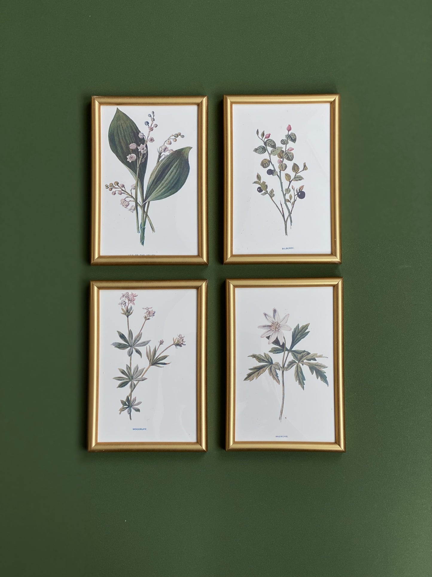Victorian Wildflowers Set (Set of 4)