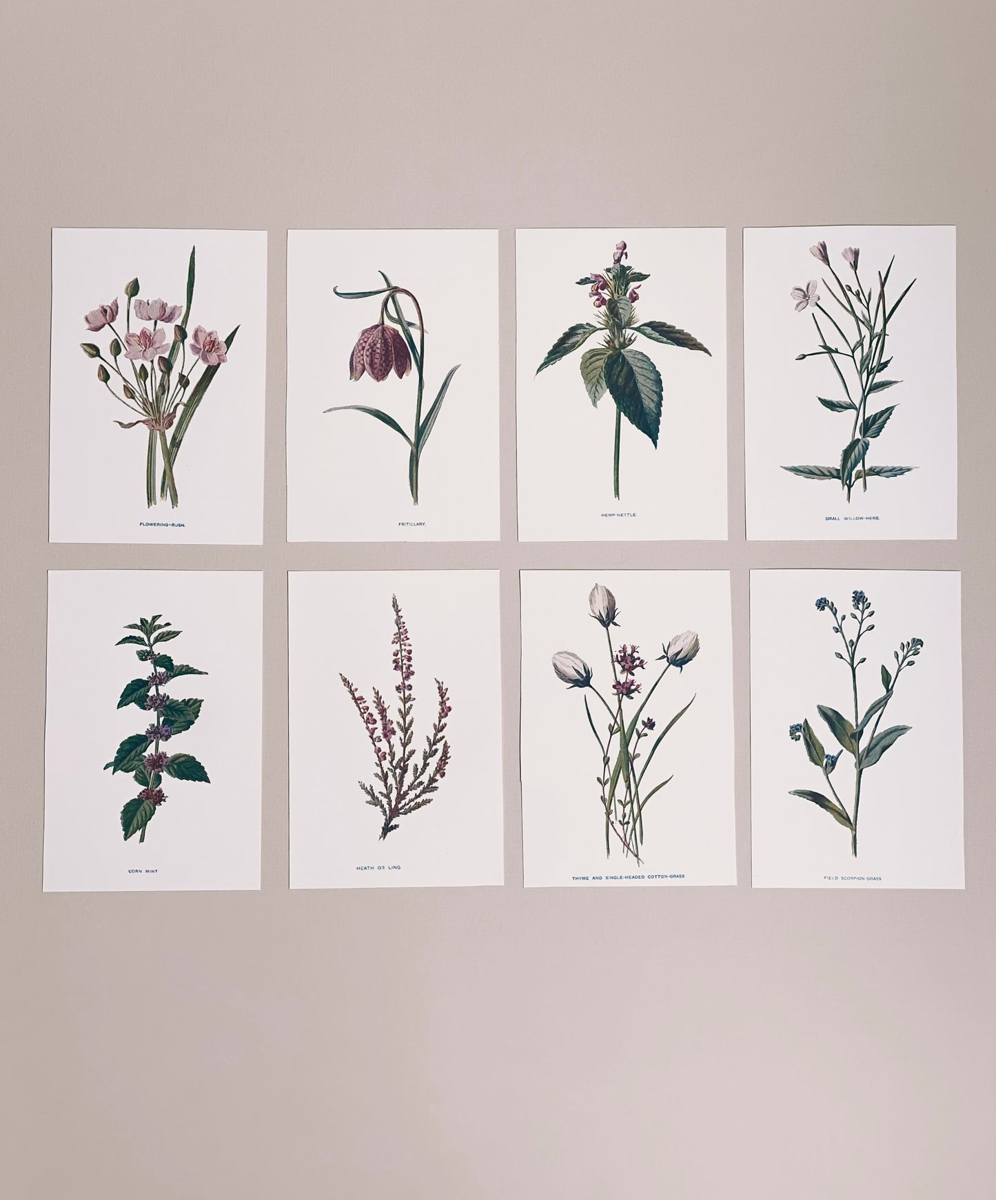 Victorian Wildflowers Set (Set of 8)
