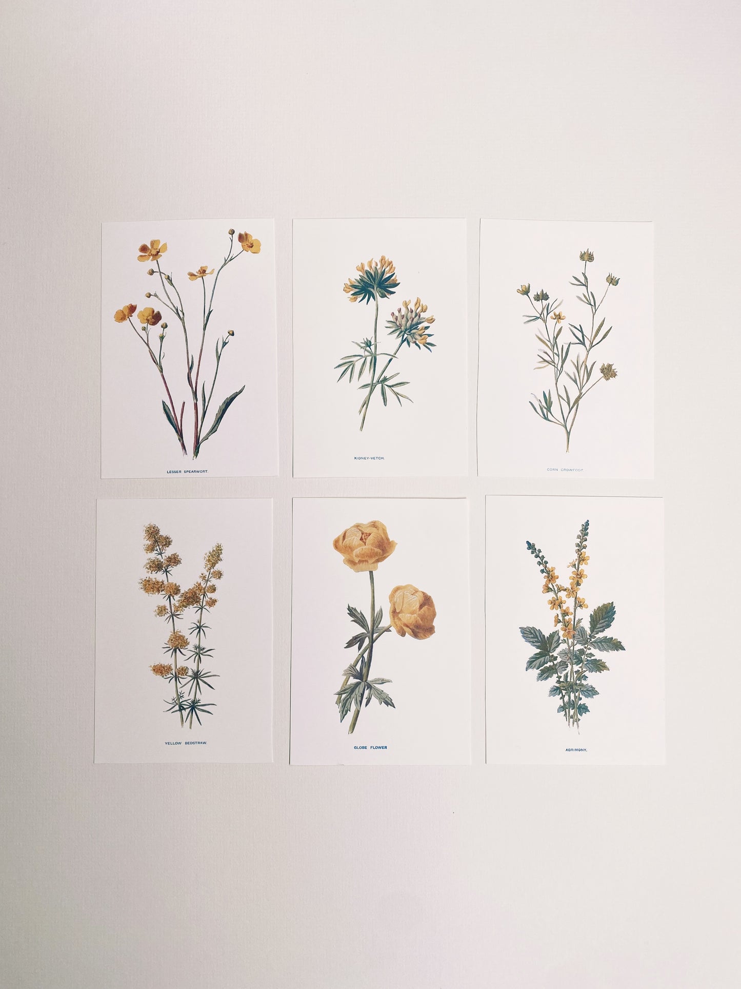 Victorian Wildflowers Set (Set of 6)