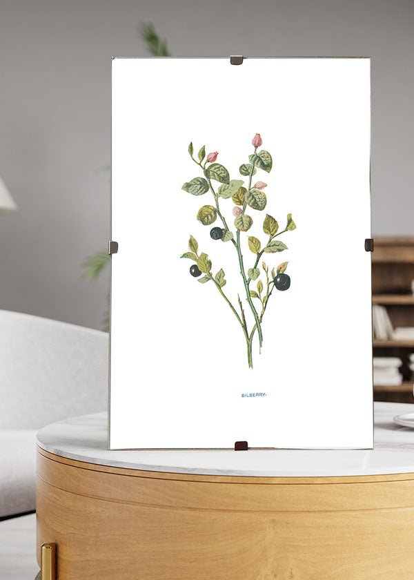 Bilberry