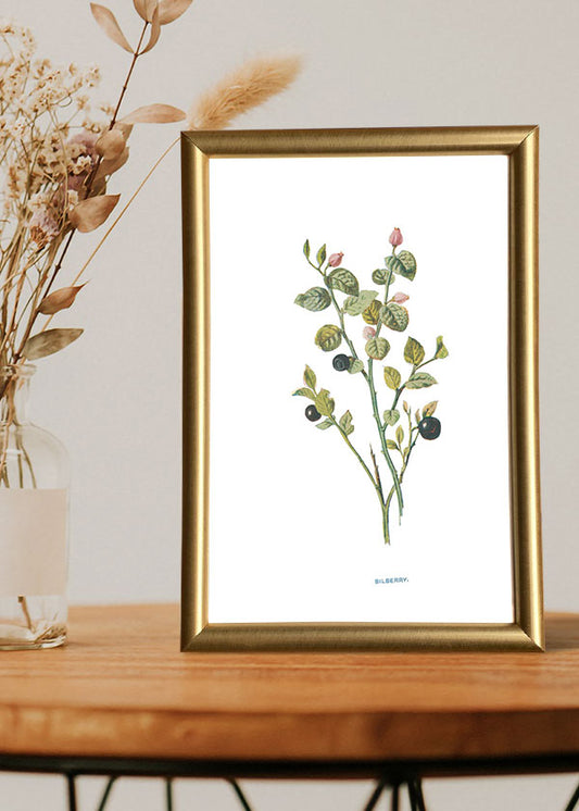 Bilberry