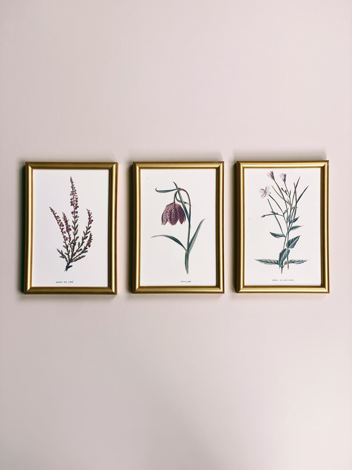 Victorian Wildflowers Set (Set of 3)
