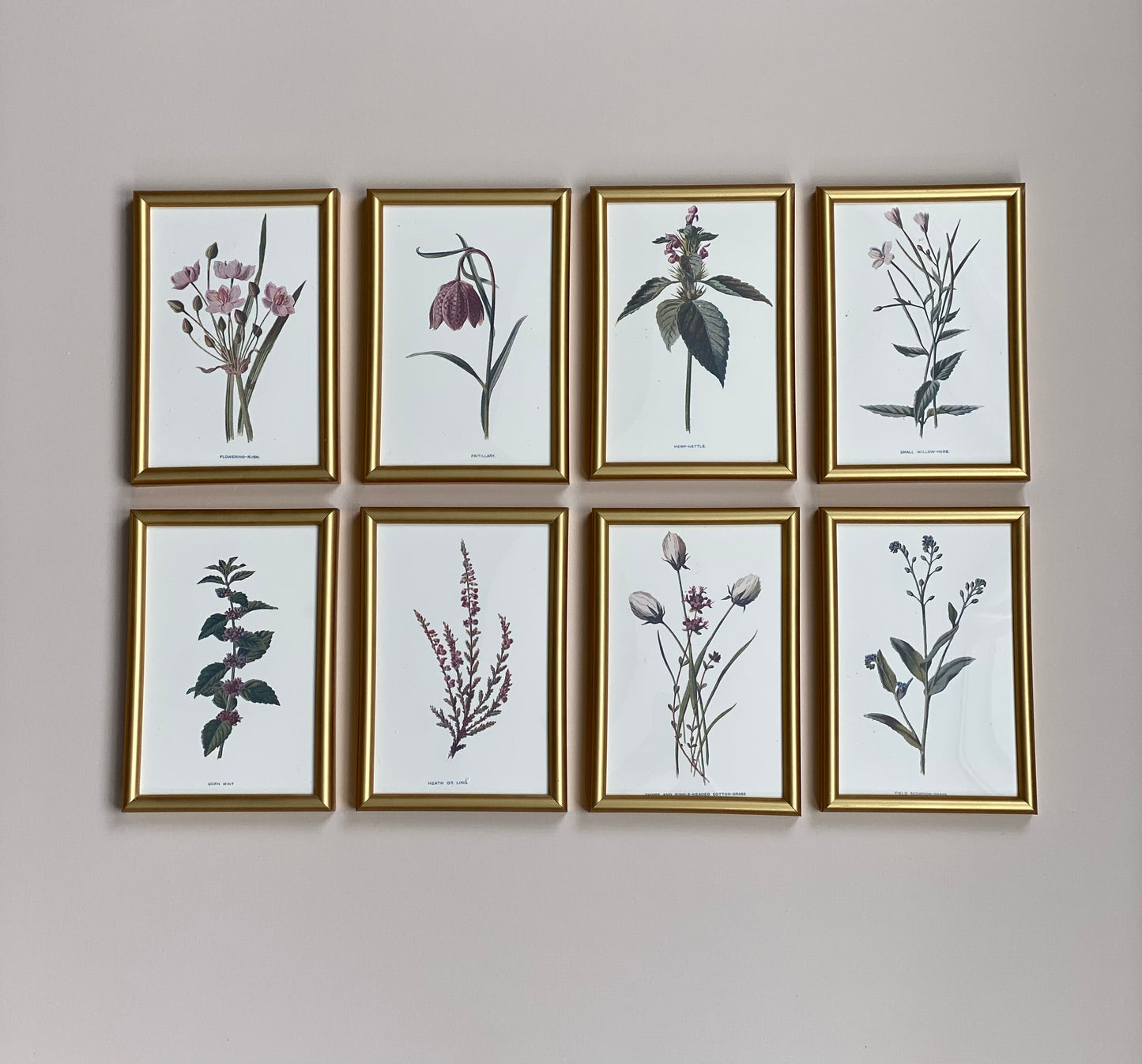 Victorian Wildflowers Set (Set of 8)