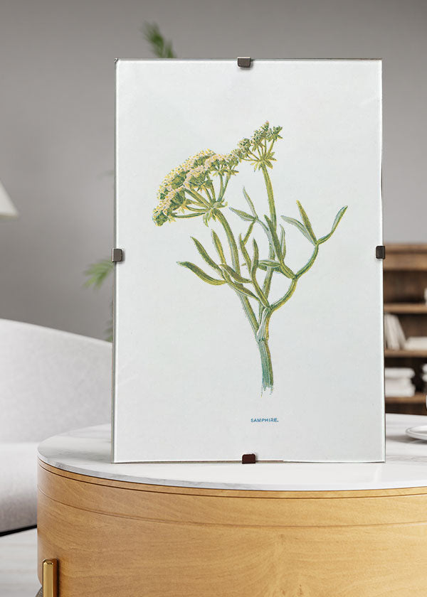 Samphire